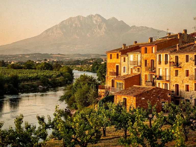 Vallée de la Têt avec vergers et Canigou enneigé